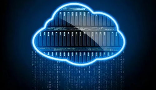 Filecoin走出上漲行情，數據市場千帆競發(fā) AI基礎軟件開發(fā)的東風已至